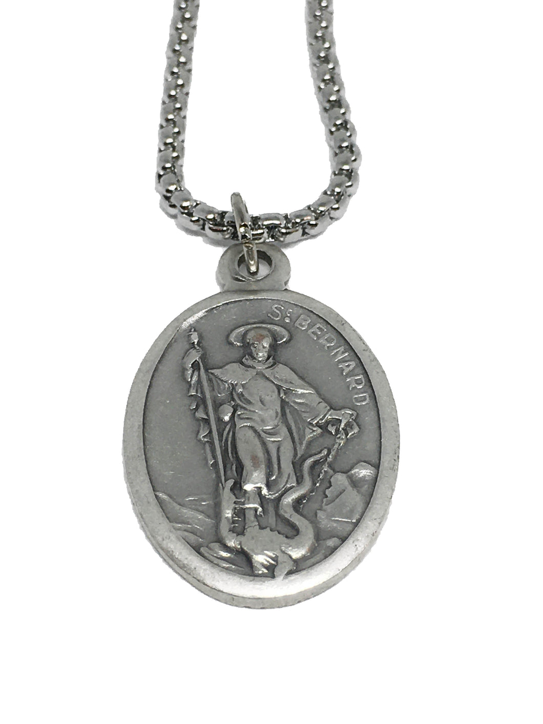 Saint Bernard Medal Necklace Devo Wears
